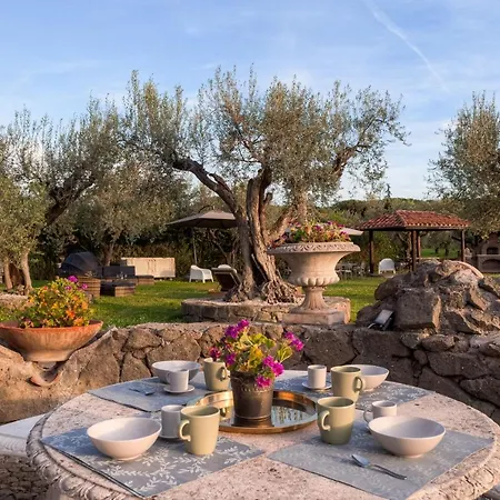 Oasis Villa