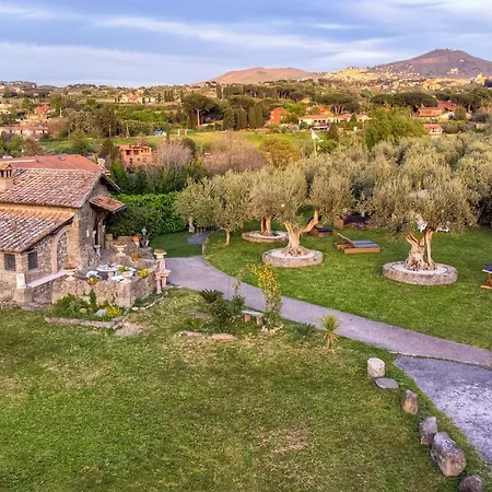 Oasis Villa Ciampino