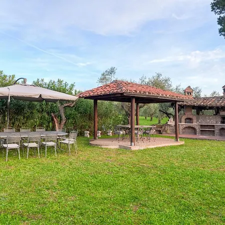Oasis